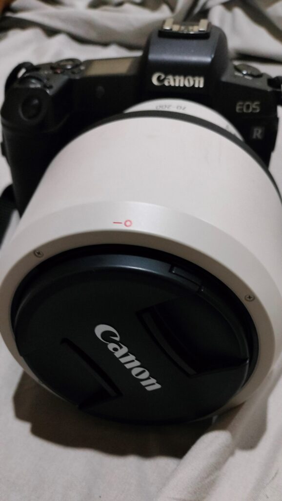 [Tech review] Why Canon EOS R best choice for mirrorless camera?