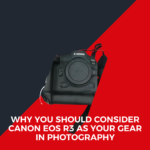 Why you should consider Canon EOS R3 as your gear in photography
